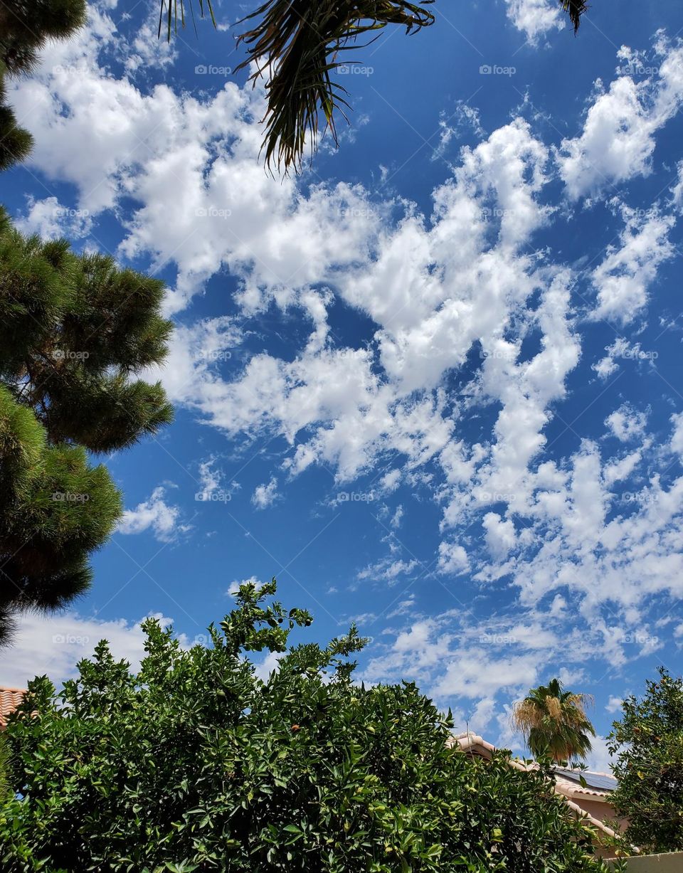 Beautiful Skies After a Storm