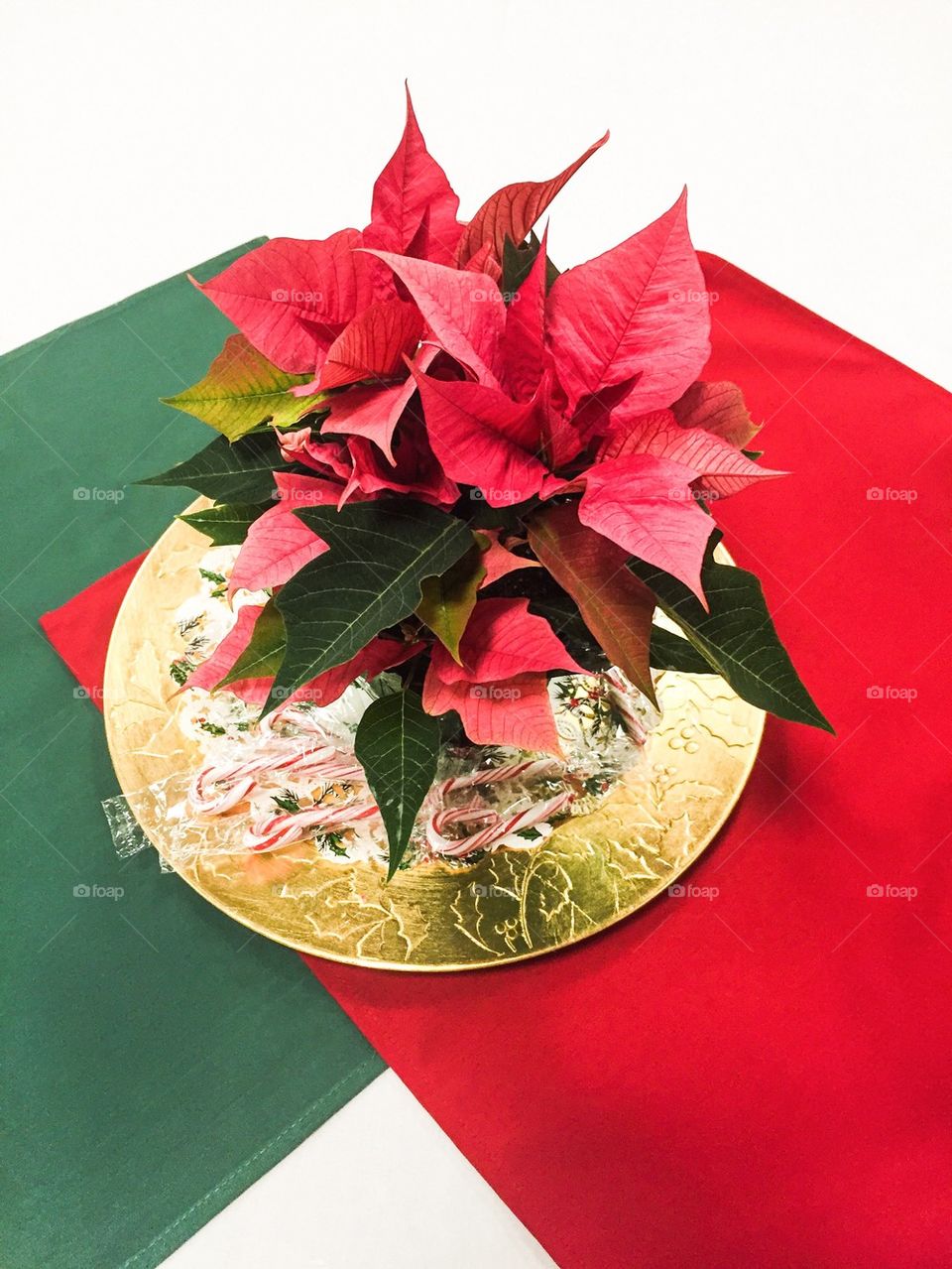 Pointsetta Centerpiece