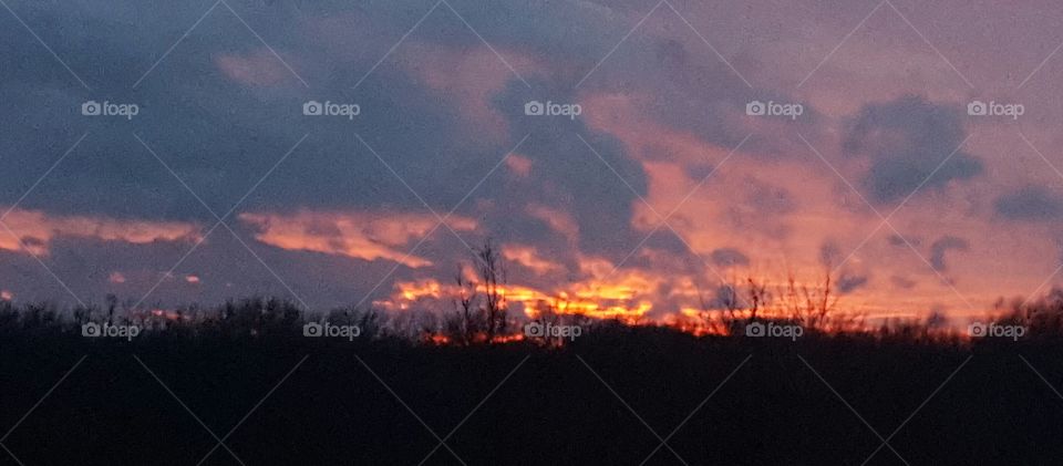 firey sunset over the trees