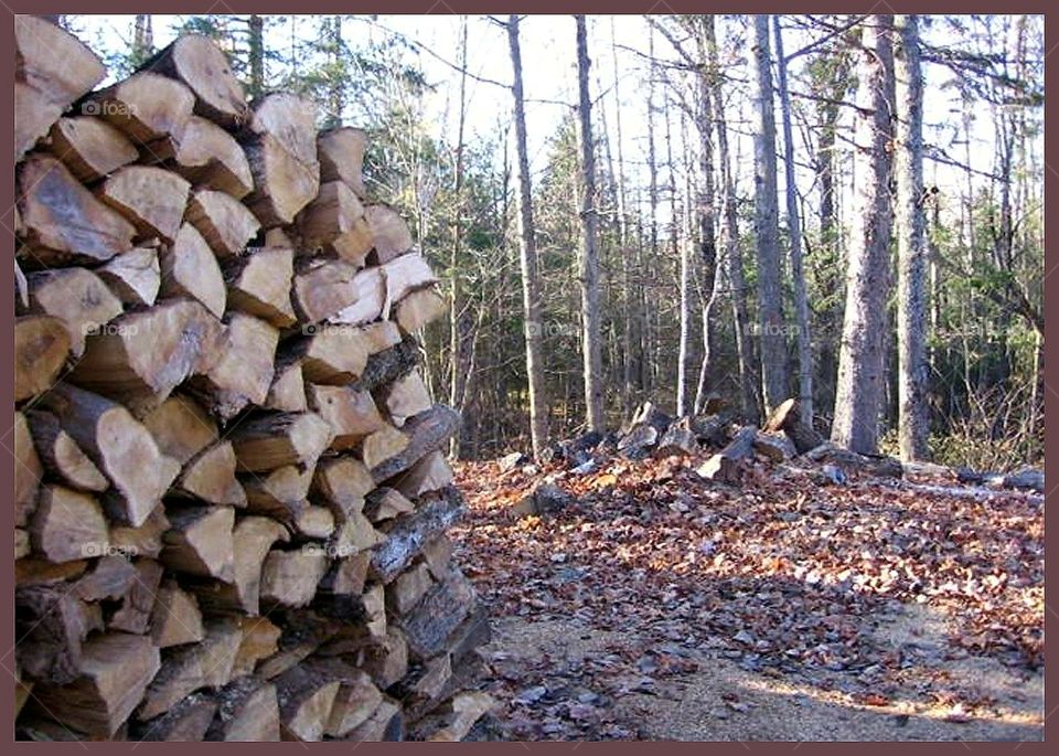 Wood pile... cut and split fall ritual