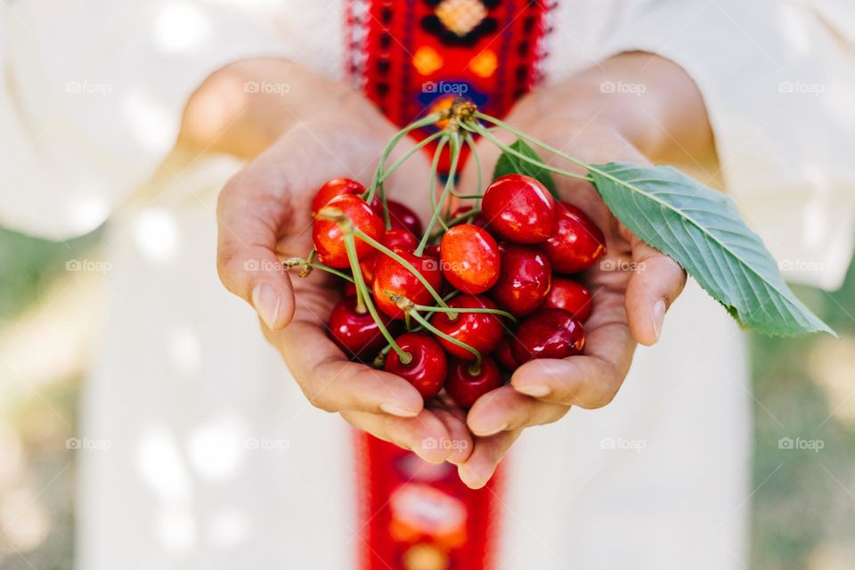 Woman holding in her hands some delicious cherries.