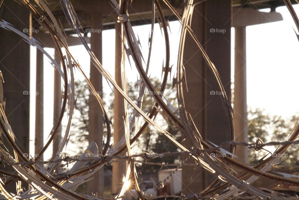 Up close and personal with some barb wire.