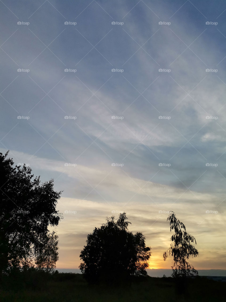 🌍  Silhouettes of Trees at Sunset in Summer . Matarnia . Gdansk . Poland .
💙  Beautiful Natural Background .