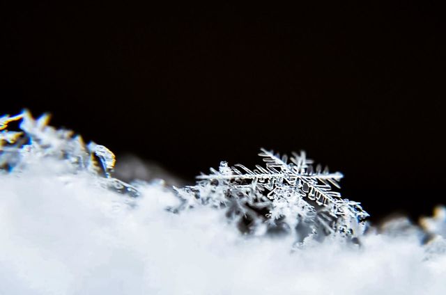 Snowflake, Frosty Marvels Nature's Ice Artistry