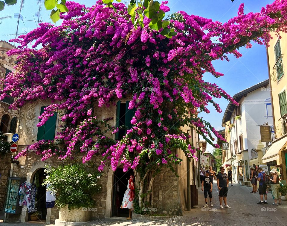 Sirmione Italy 🇮🇹