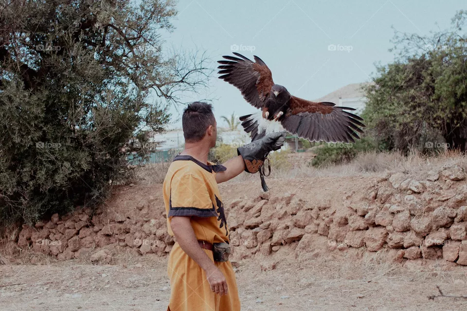 Eagle 