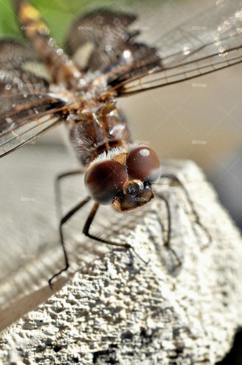 I let you see my eyes a little bit closer 