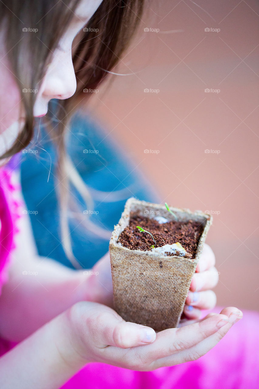 Little girl looking at flower pot with small seedling growing new leaves.