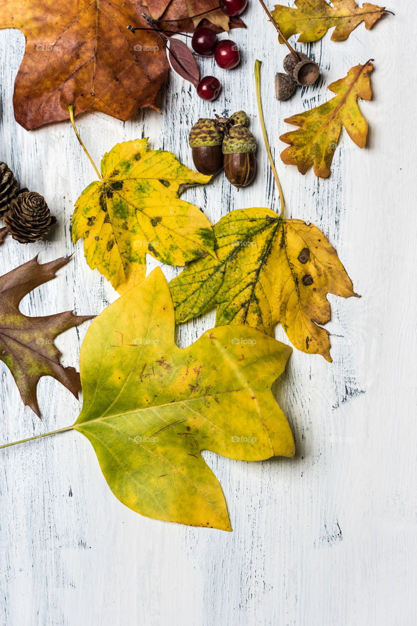 top view on white rustic, wooden background with autumn leaves, fall fruits