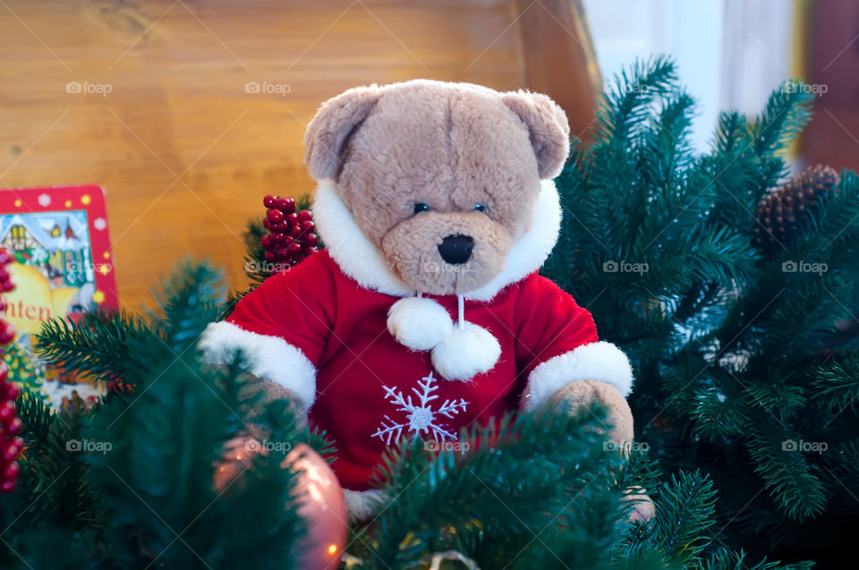 Christmas red bear 