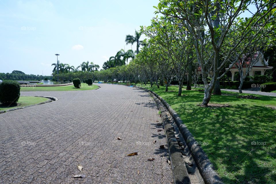 The walkway in the park in the corner