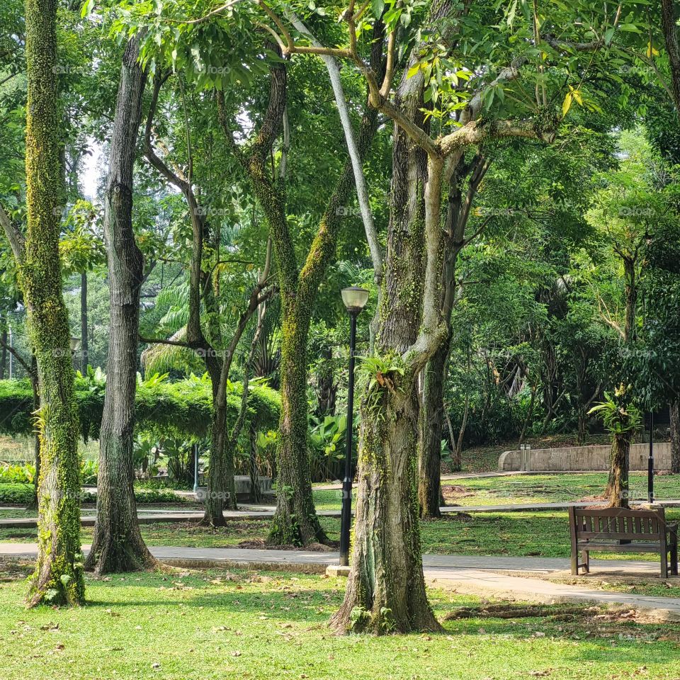 Park next to Toa Payoh Swimming Complex
