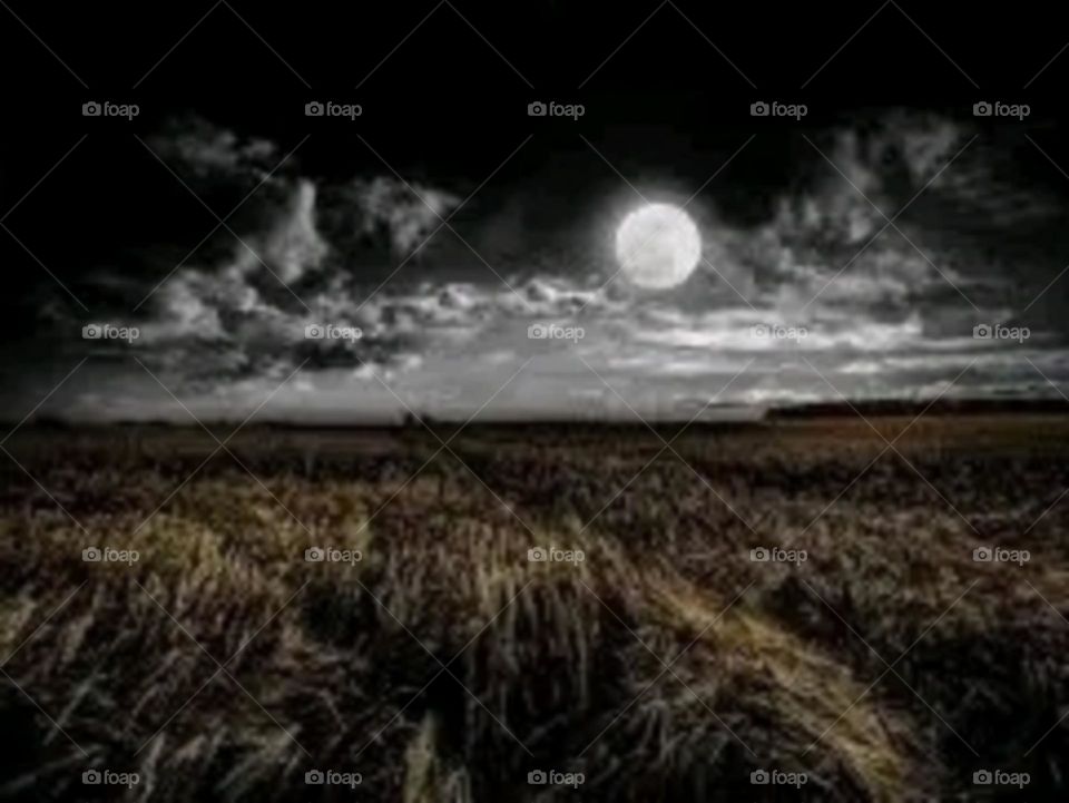 A most beautiful and attractive view of the moon.