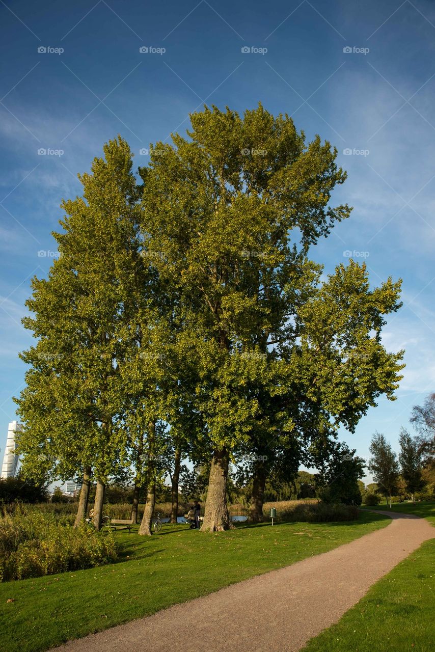 Park in Malmo