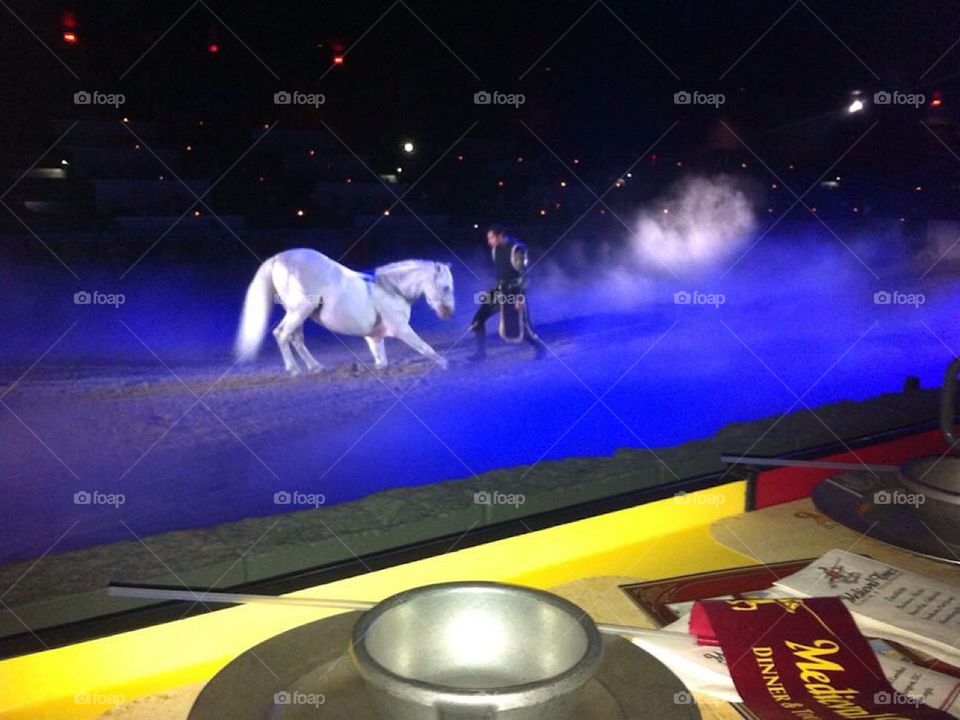 Medieval Times Dinner & Tournament