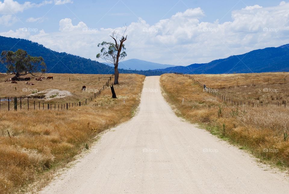 Country dirt road, Victoria Australia 