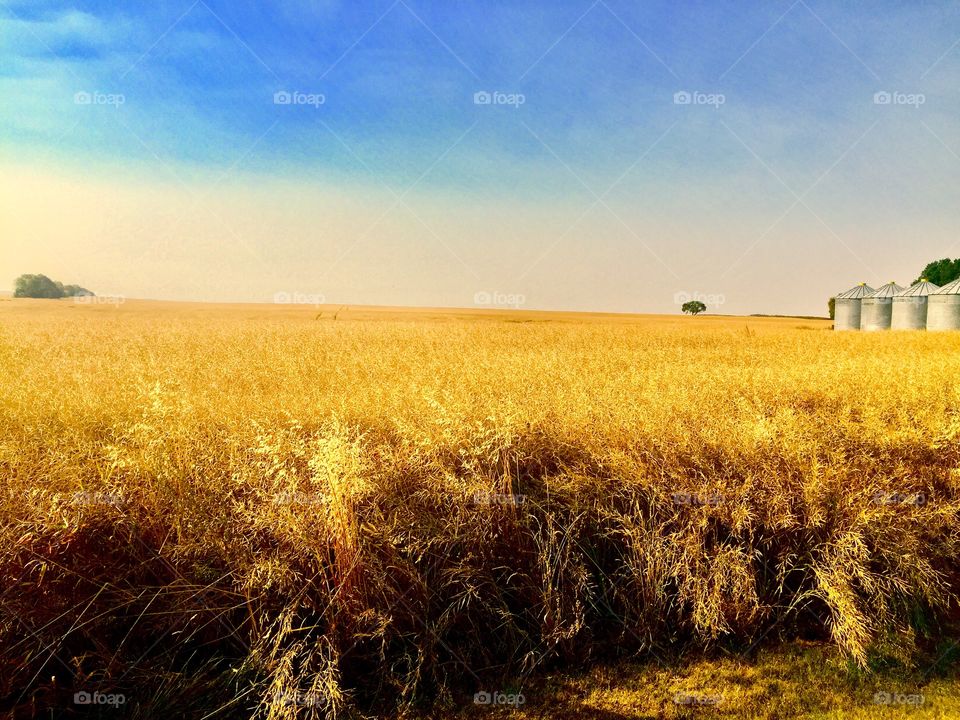 Brandon Manitoba prairie 
