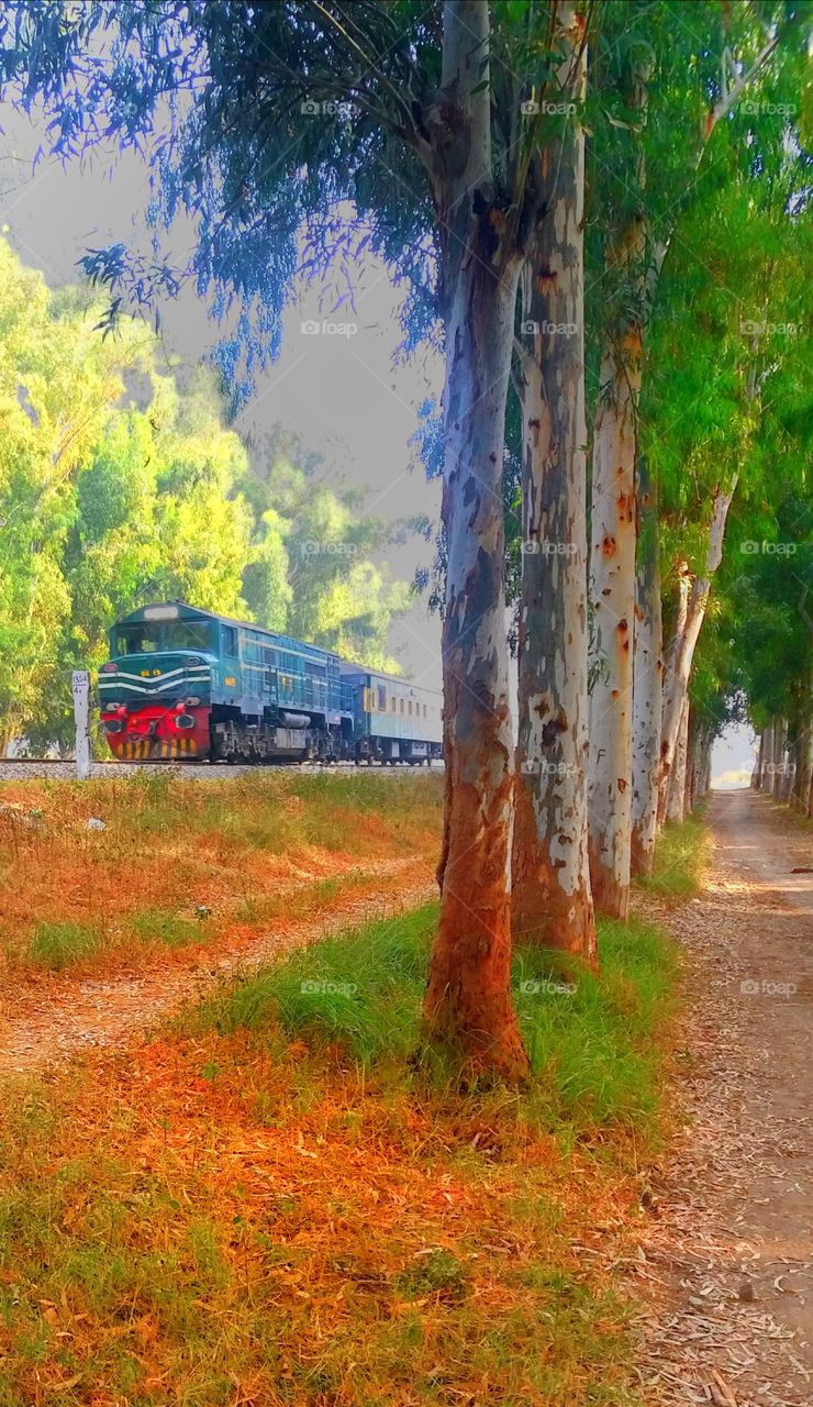 I was passing from a Railway.
and I captured two scenes. On right side there is a beautiful way for peoples. And other side A train is passing i captured both scenes in one pic .....And make a beautiful Look...