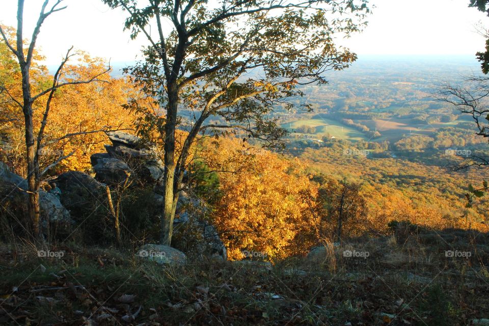 Autumn mountain landscape 