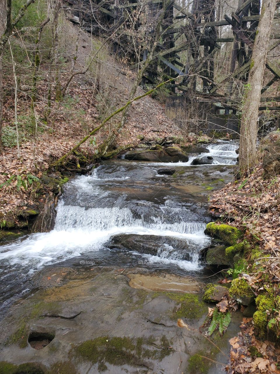 creek rocks water