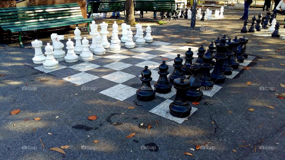 giant chess game