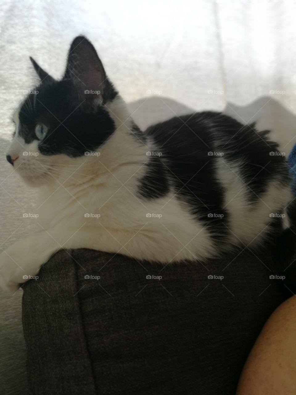 My throne, my queen and the fairest of them all