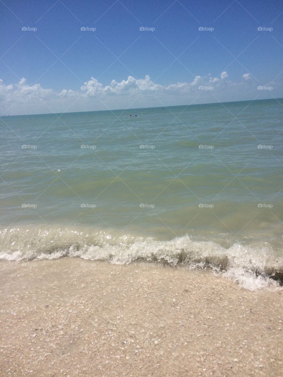 Vacation Ocean. I took this photo while on vacation in Sanibelle Island. 