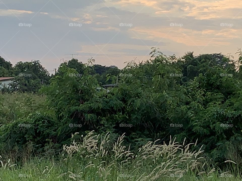 The stories of the nature, Countryside (Thailand)