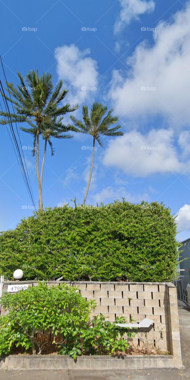 Bầu trời trong xanh.