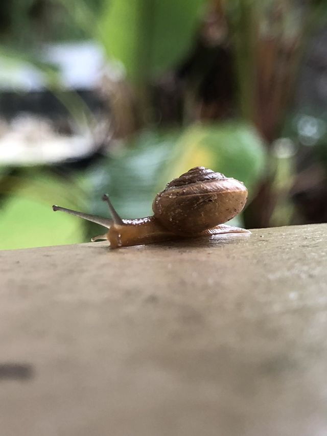 Slow and steady