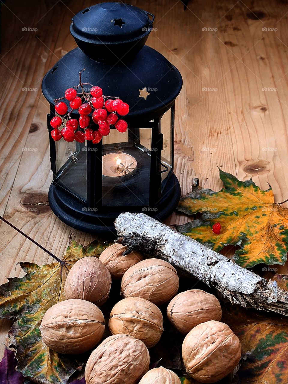 Composition. Walnuts lie on colorful autumn leaves. Birch branch. In the background is a black lantern with a lit candle. On top of the lantern lies a bunch of red rowan
