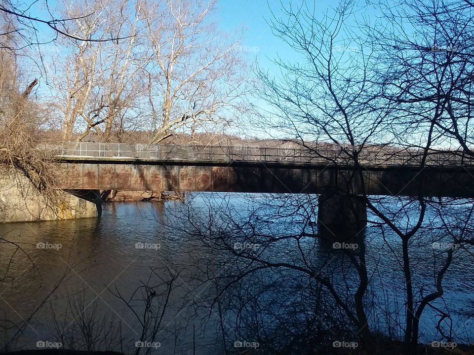 Darned versus Light on the bridge of nature