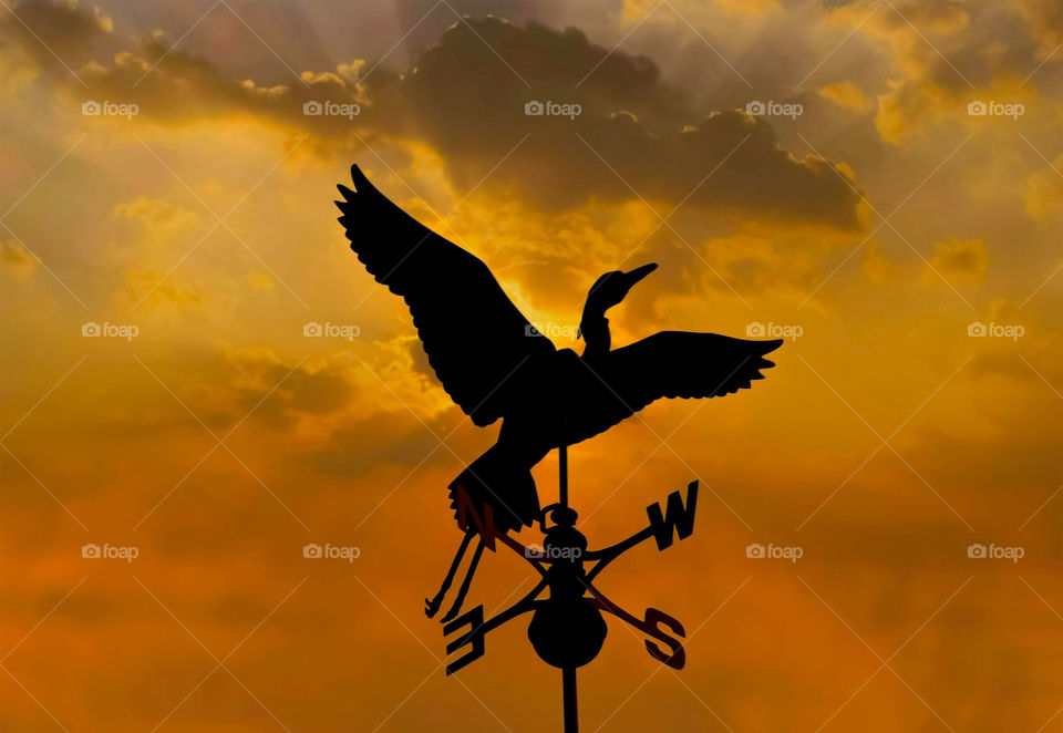 Bird Weathervane In A Dramatic Orange Sunset