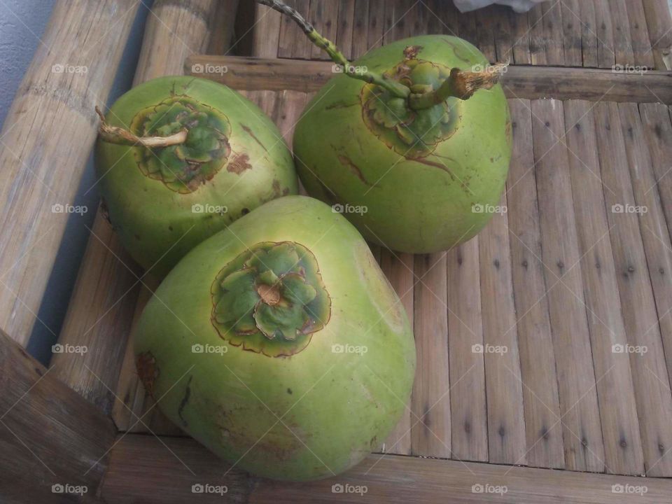 Philippine coconut