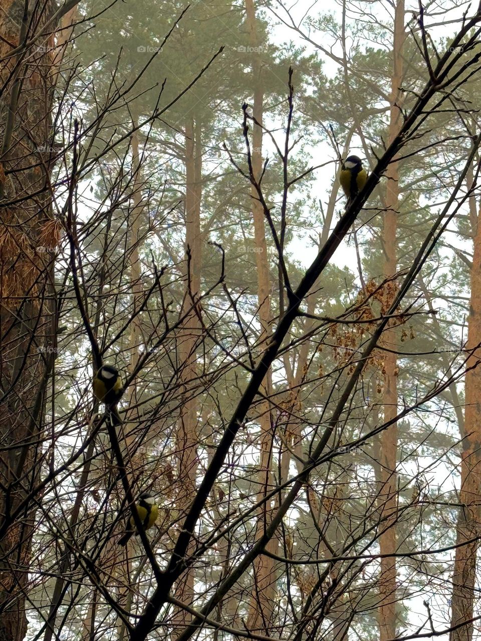 Shhh... feel the breath of spring