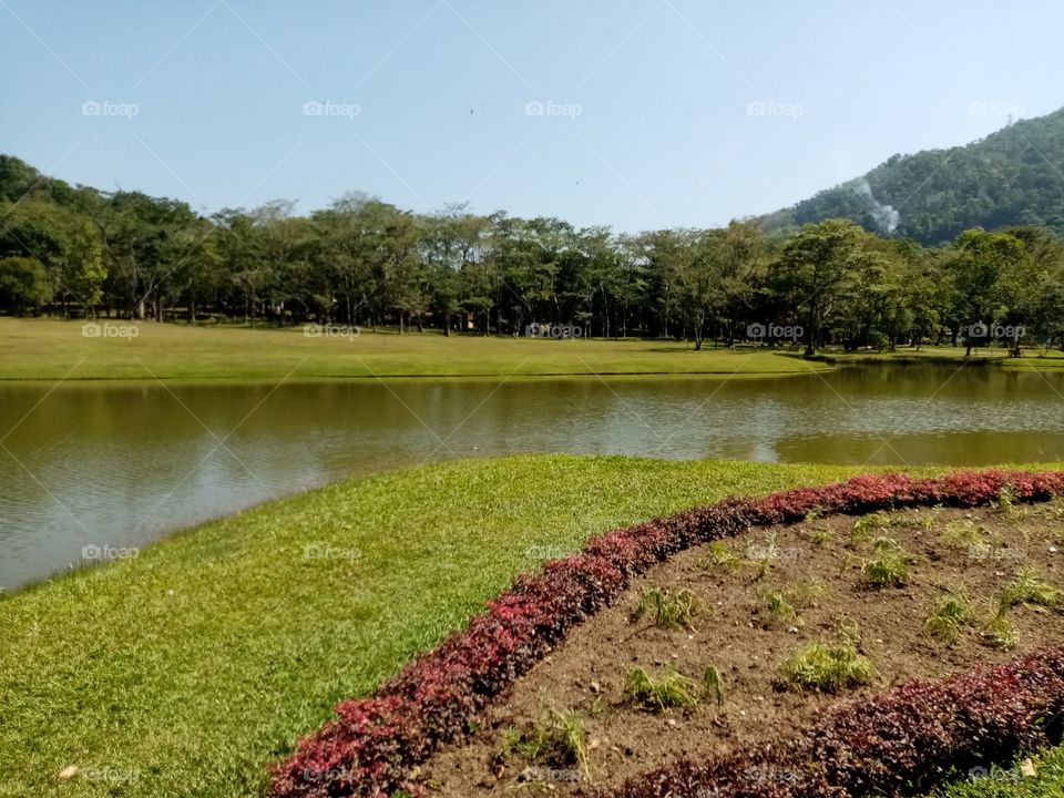 Lake surrounding green