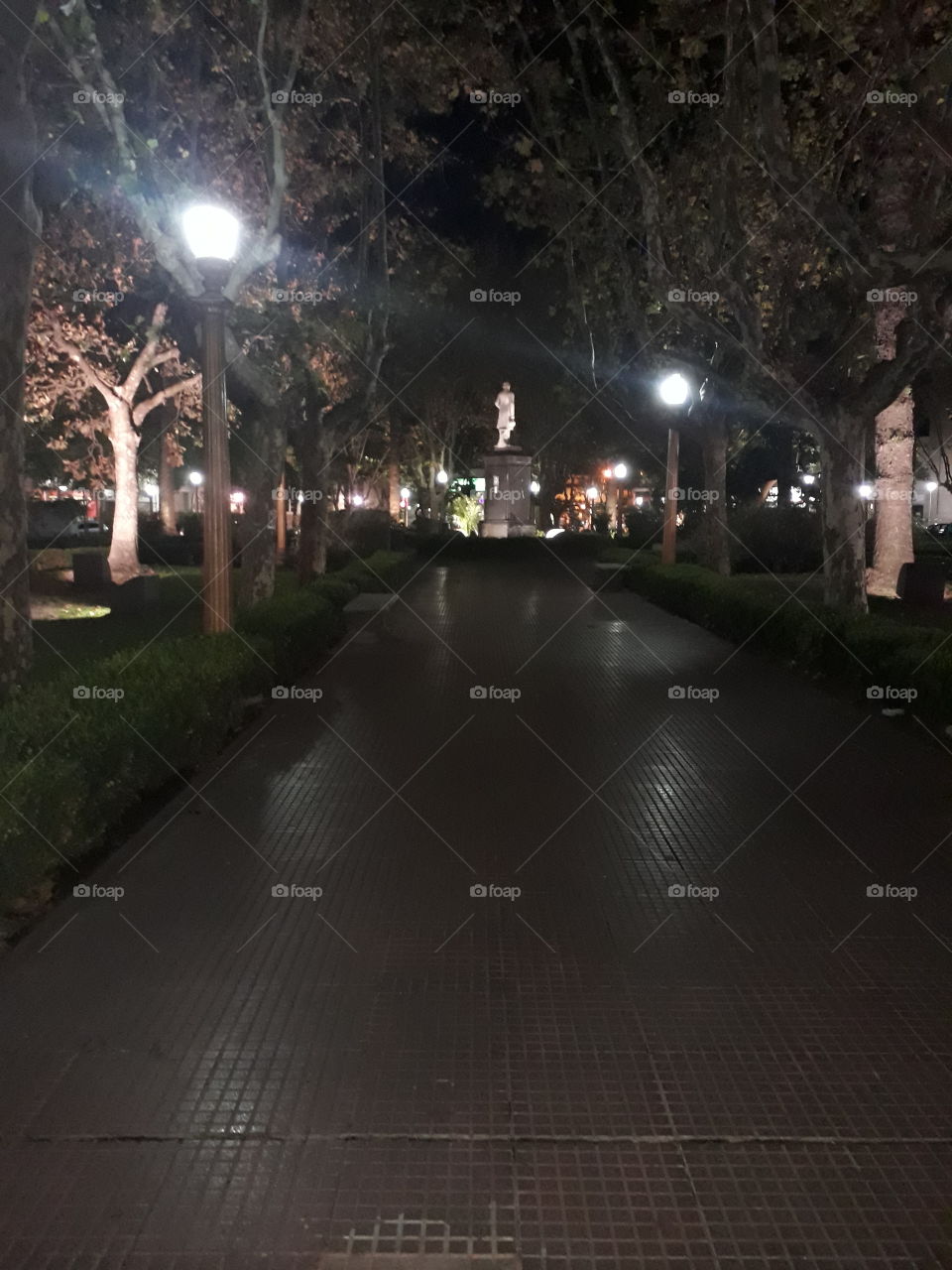 plaza de Noche