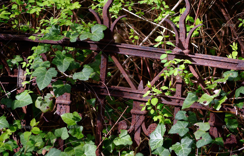 Rusty metallic fence amidst green leaves at park in Berlin, Germany.