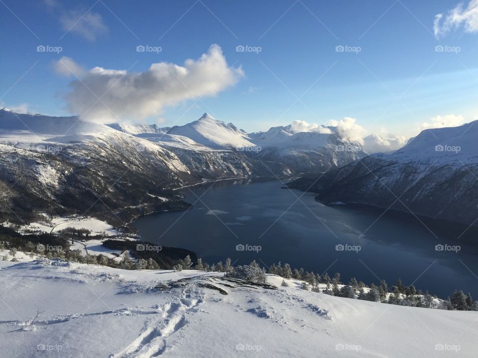 View of river during winter