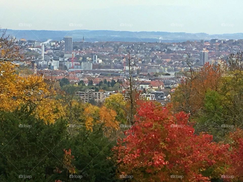 Autumn city