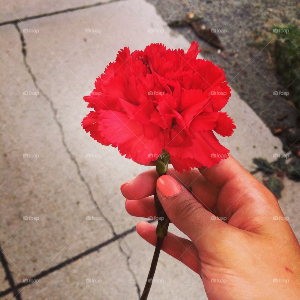 When your boyfriend always buys you a flower from a homeless woman