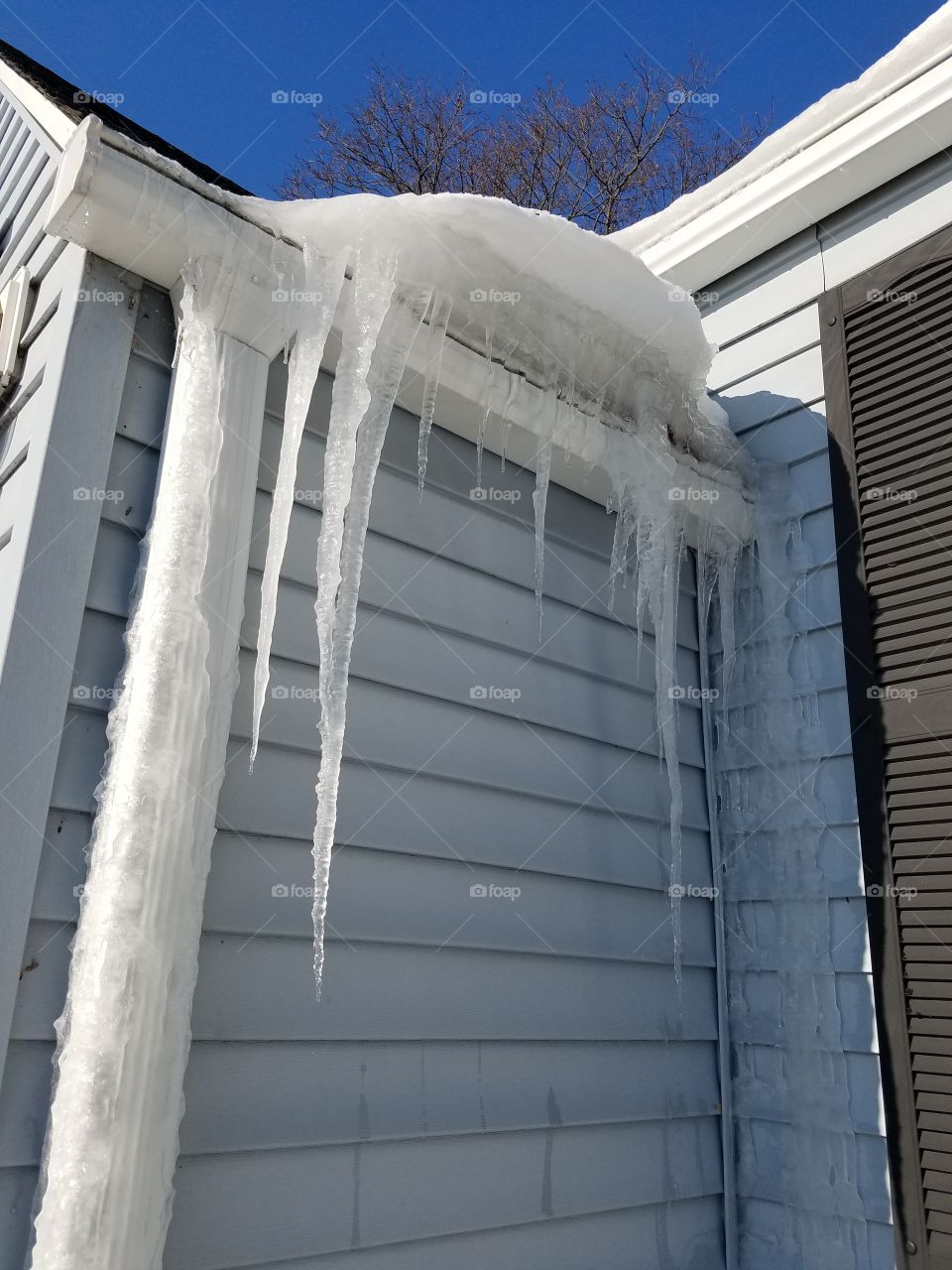 icicles