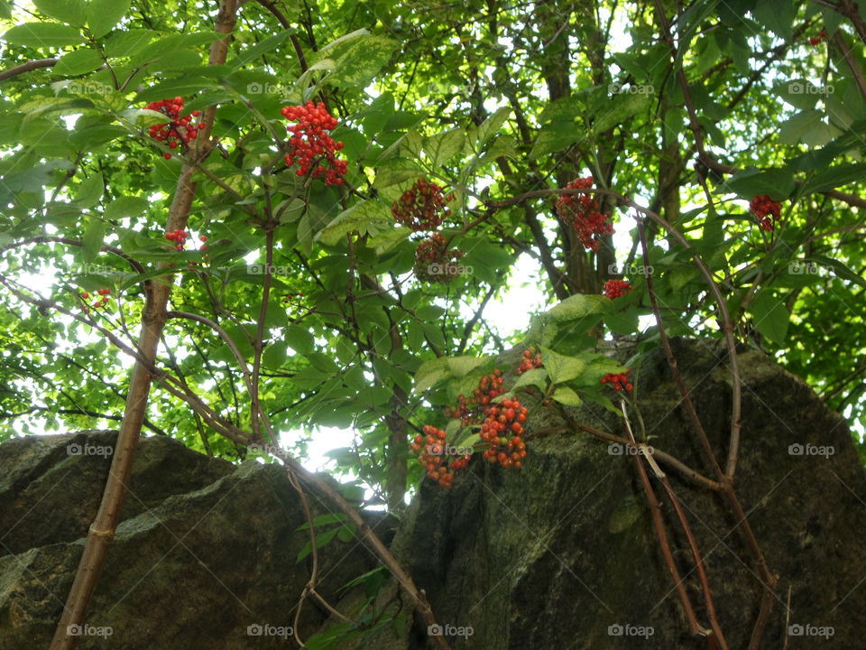 Red Color Story
by Getty Images Mission