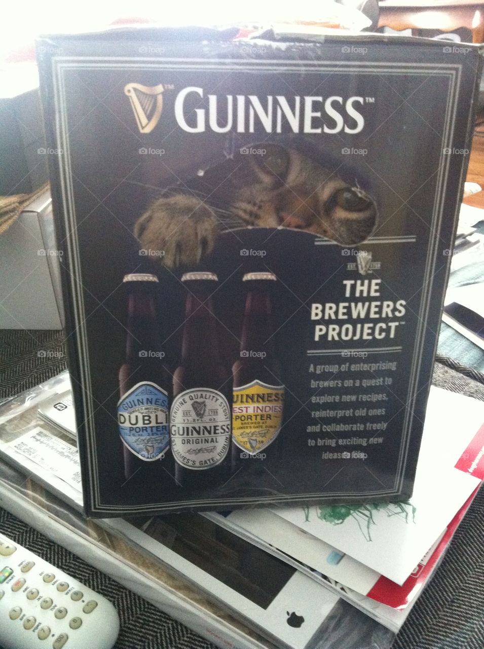 Guinness cat