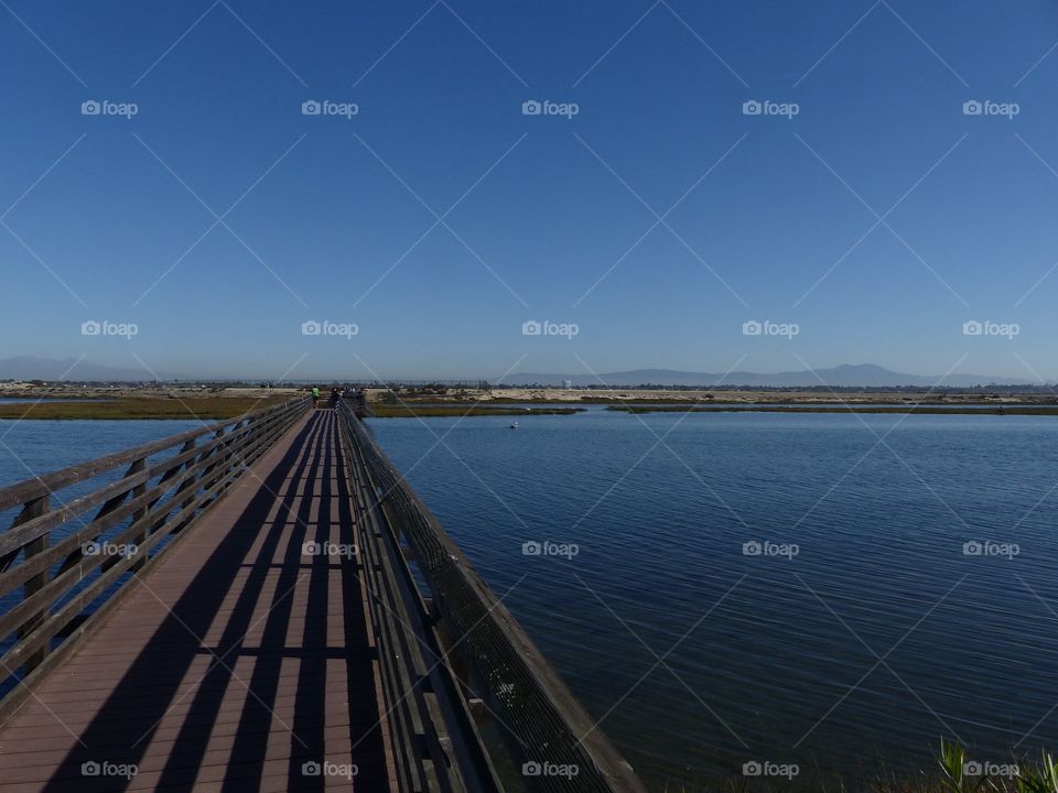 Bridge at Ecological Reserve 