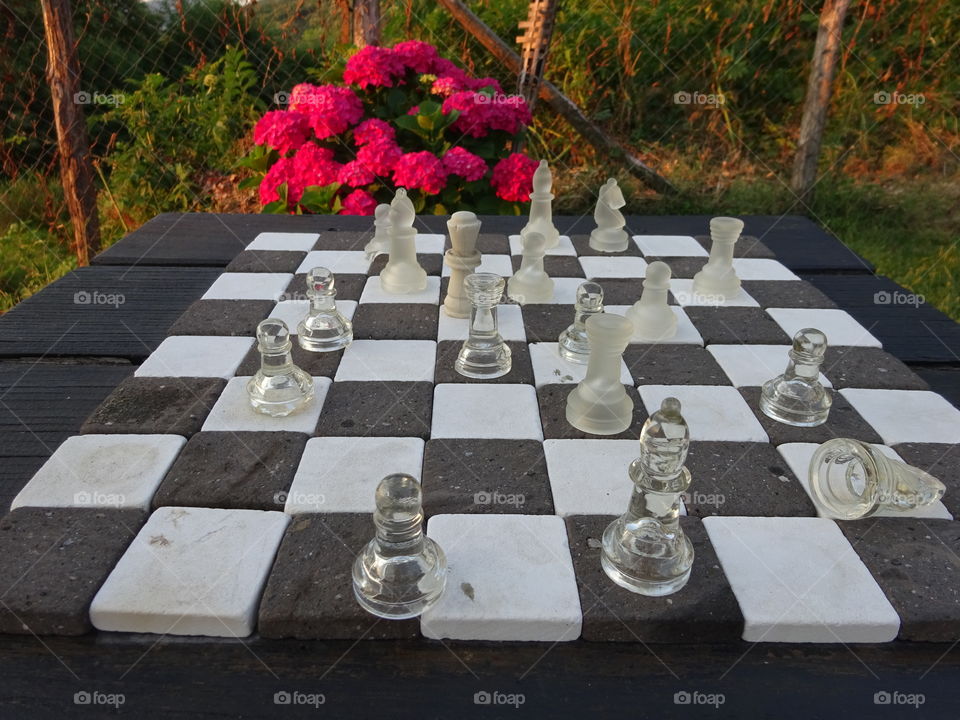 Chess with flowers. Chess with flowers