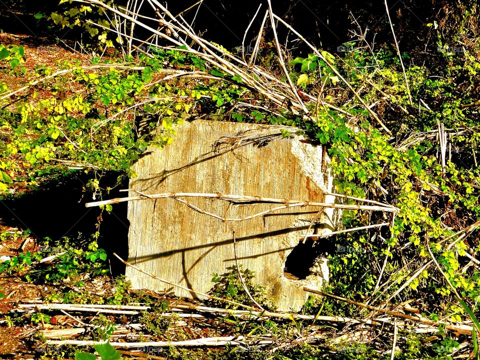 Old concrete and grass by the railway 