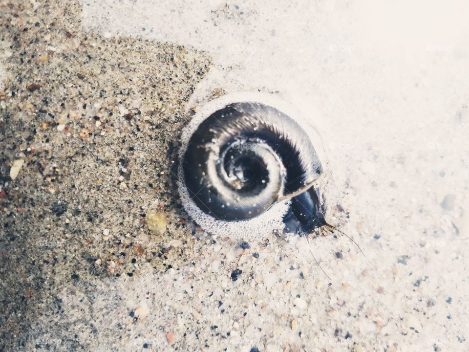 The little things in life. I enjoy this picture as when I took it the snail had just come outta it shell  it made me think that we all want to hide but every once in a while we have to come out into the open