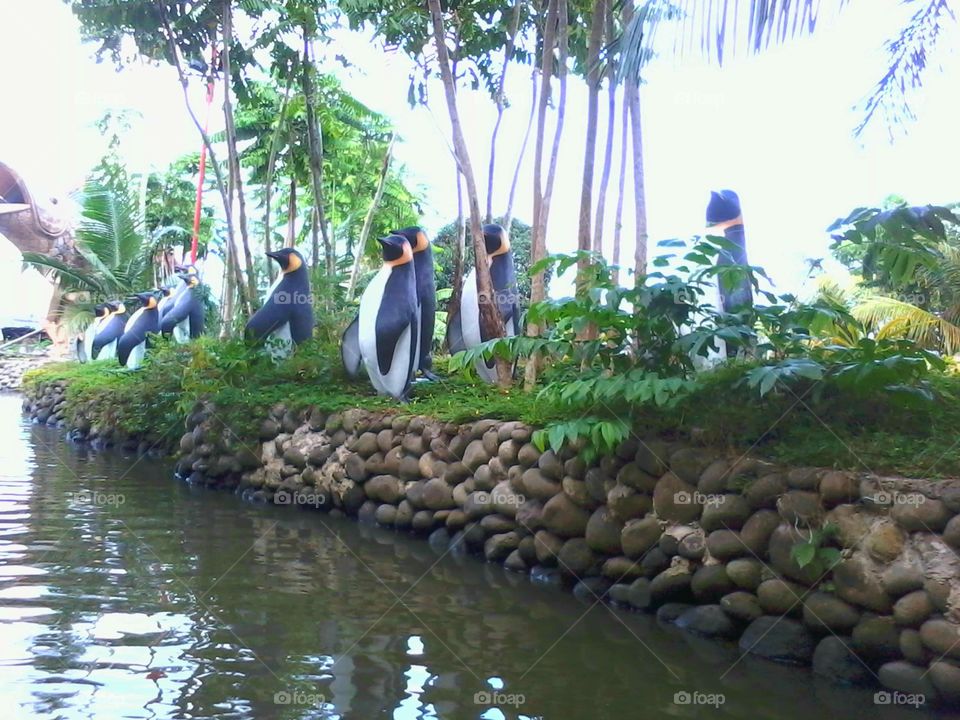 penguin statues near the river