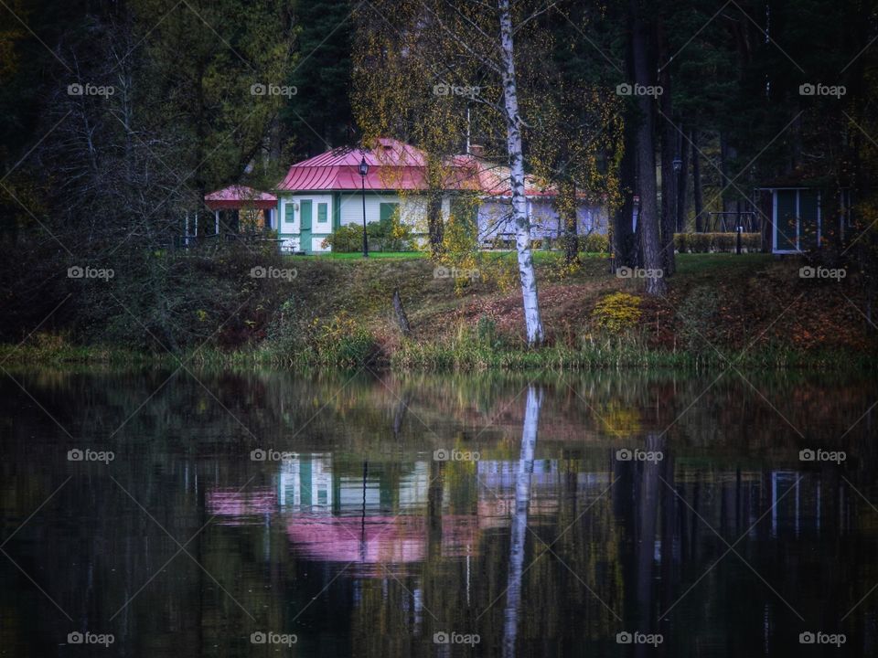 Reflection in the river